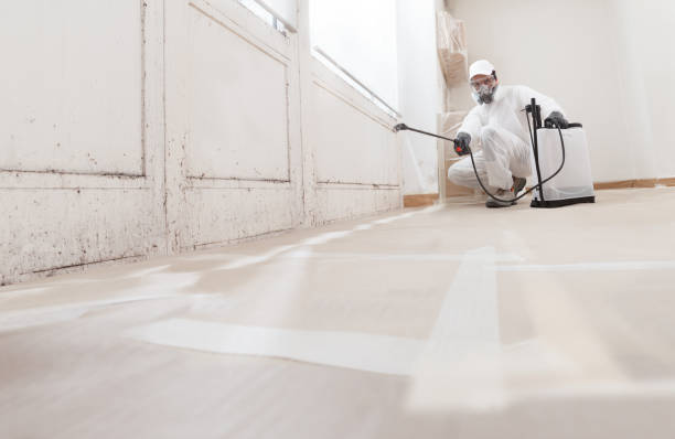 24/7 Emergency Attic Mold Removal experts in Mount Freedom, NJ